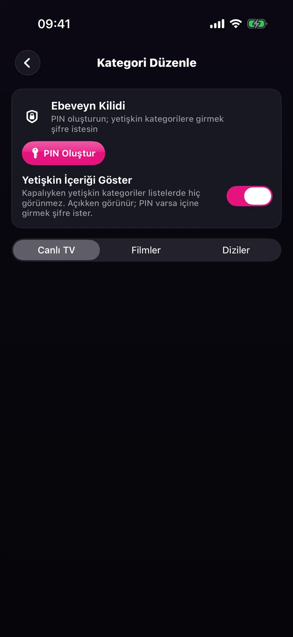 Kategori Düzenle ekranı